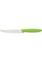 Plenus 5 Inches Fruit Knife with Stainless Steel Blade and Green Polypropylene Handle