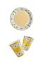 Bal10 Daisy Themed Plate and Cup Set