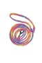 Dog Walking Rope Rainbow Color 205 cm