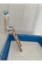 Wooden Bird Ladder with Mirror (4 Steps-Natural Wood) - 2