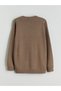 Lcw Kids Brown Crew Neck Boys' Sweater - 3