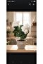 Artificial Flower Large Geranium7 Branches Bunch 40 cm White