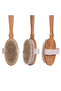 100% Natural Horsehair Cellulite Brush (Detachable Handle) That Provides a Shiny and Smooth Appearance () - 2