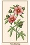 Static Clingable Painting - Poster Flower (Model-46) Frame-Like Non-Adhesive Wall Decoration Decorative Painting - 4