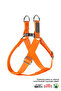 Dog Harness Walking Harness Neck Harness - 3