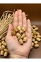 16X12 mm Varnish Oval Pasta Wooden Beads Twisted Sleeve (50 Gram 58 Pcs) Hole Diameter 5mm Macrame Jewelry - 2