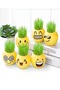 6-Pieces Creative Design Garden Plant Pot Cartoon Emoticons Pattern Pots for Home Decoration 5.5x6.5 - 3
