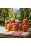 30 Jar Lid Covers / Red Gingham and Colored Binding Rubber - 5
