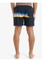 Eqyjv04121 Everyday Straight Volley Black Normal Waist Standard Fit Men's Shorts Swimwear - 2
