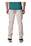 2097491278Ao8498 Beige Regular Straight Men's Trousers - 2