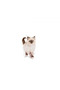 Cat Fhn Kitten Cat Food 4kg - 3