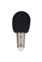 B-1 Condenser Mikrofon - 2