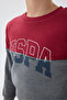 U.S. Polo Assn Boys' Burgundy Tracksuit Set - 3