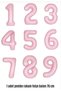 6 Year Old Pink Birthday Balloon Set – Heart Pink Concept Party Balloons - 2