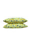 Fitted Sheet |   100% Cotton |   Premium |   Single/Double/King |   63 Wire Weaving - 8