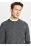 Crew Neck Standard Anthracite Melange Men's Sweater Ace049261483_Anm - 4