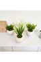 Handmade Set of 3 Concrete Flower Pot Arrangement Mother's Day Valentine's Day Flower Pot Gift - 2