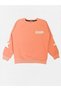 Girl's 100% Cotton Puppy Mouth Color Star Pattern Long Sleeve Tracksuit Set - 6