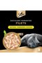 Cat Food Natural Shredded Chicken Filets, from Natural Chicken Breast, Pack of 16x60g - 2