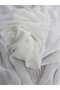 Multi Chiffon Dress Shawl – Suitable for Daily and Special Occasions (Cream) - 5