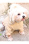 Hooded Beige Dog Sweatshirt – Thick Double Layer Quilted Fabric Winter Pet Clothing - 3