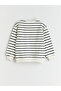 سترة رياضية للأولاد بخطوط مخططة وياقة روبا من سلسلة Shining Selections Zero من Shining Store - 3