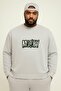 3 Yarn Combed Cotton Money Printed Large Size Unisex Sweatshirt