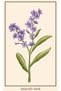 Static Clingable Painting - Poster Flower (Model-47) Frame-Like Non-Adhesive Wall Decoration Decorative Painting - 5