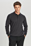 Men's Anthracite-Melange Cotton Standard Fit Regular Cut Polo Collar Knitwear Sweater