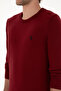 Men's Slim Fit Crew Neck Burgundy Basic Sweater 50313713-Vr014 - 7