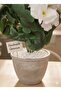 Artificial Flower Large Geranium7 Branches Bunch 40 cm White - 5