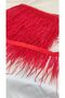 Ostrich Feather Strip Red (9 Cm) - 5