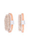 100% Natural Horsehair Cellulite Brush (Oval) That Provides a Shiny and Smooth Appearance () - 2