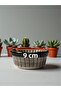 Muffin bowl 8 cm ceramic 6 piece colorful traditional pattern - 2