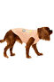 Small and Medium Breed Dog T-Shirt Stina - 3