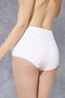 Women's Modal High Waist Panties Slip 7161 - 5
