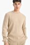 Standard Fit Regular Cut Crew Neck Textured Knitwear Sweater C8814Ax25Wn