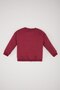 Baby Girl Crew Neck Printed Sweatshirt D0737A524Au - 4