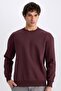 Boxy Fit Long Sleeve Cotton Crew Neck Soft Fuzzy Printed Sweatshirt X8282Az24Au