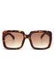 Alessia Unisex Sunglasses Classic Havana Ok027-Ch - 2
