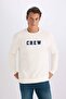 سويت شيرت سميك مطرز برقبة دائرية من Relax Fit D2162AX24AU - 3
