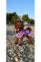 Summer ®   Natural Bamboo Super Water Absorbent Luxury Towel Adjustable Waist Bathrobe for Small and Large Breed - 4