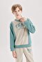 Boy's 2-Piece Set Thick Crew Neck Sweatshirt Elastic Waist Jogger Sweatpants D2043A824Au - 3