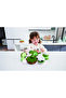Green Tea Dessert Set Food Playset - 2
