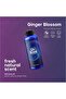 Diffuser Aroma Ginger Blossom (500ml) - 4