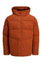 Puffer Brown Men's Coat 12283517