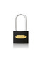 Eco Gray Cast Long Hook Padlock 63mm - 2
