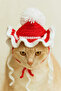 Cotton Handmade Cat Hat – Ear Flaps, Adjustable Lacing, Soft & Breathable - 2