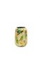 Lush Botanic Saksı L