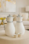 Thermos set